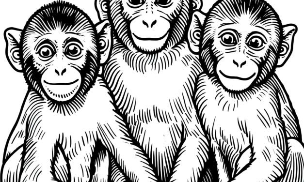 3 Affen – Gruppenbild