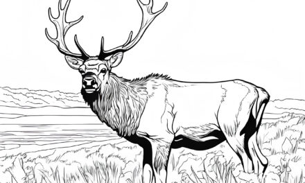 Coloring picture: Moose at the forest lake