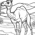 Camel in the desert 2