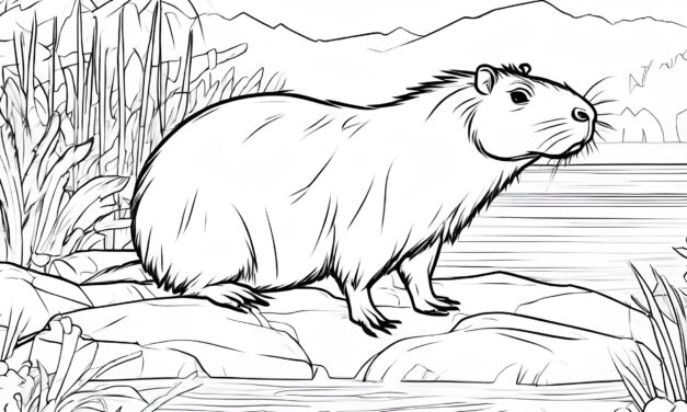 Capybara