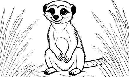 Smiling meerkat