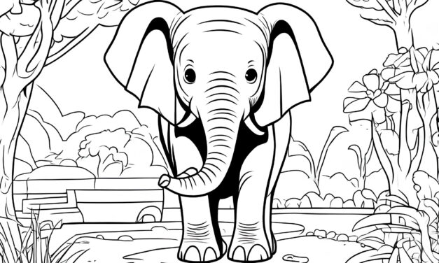 Junger Elefant 2