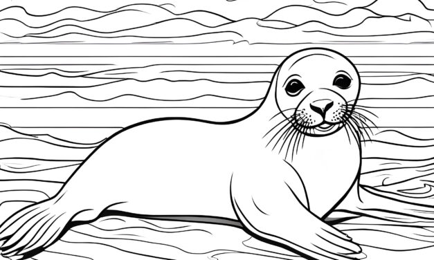 Seal at the water