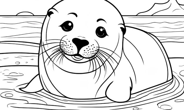 Seal in the water