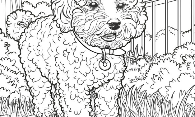 Poodle at the fence