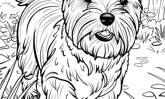 Yorkshire Terrier Coloring Picture