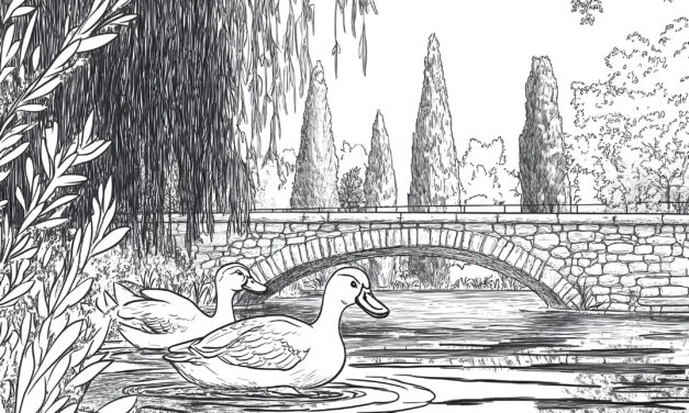 Ducks in front of the bridge