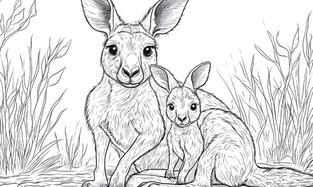 Mom and baby kangaroo