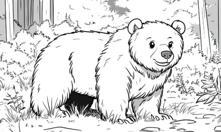 Cute bear in the forest