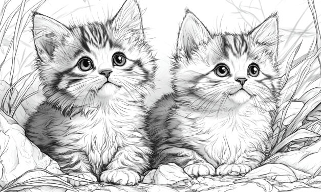 Pair of cats 2