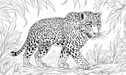 Leopard coloring picture