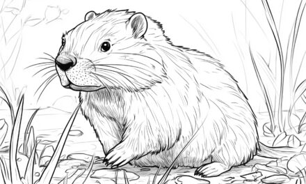Beaver sits on the bank
