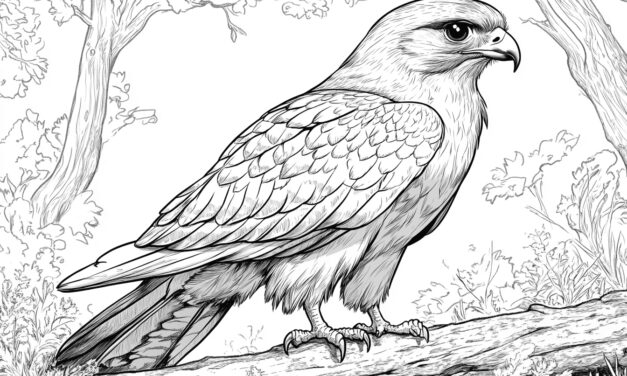 Falke im Wald