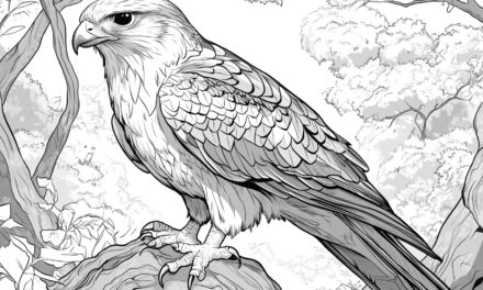 Falcon on a Rock