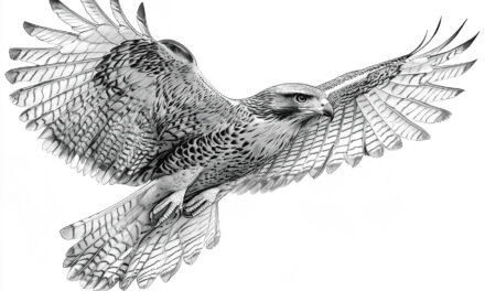 Flying hawk