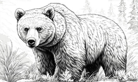 Mighty bear