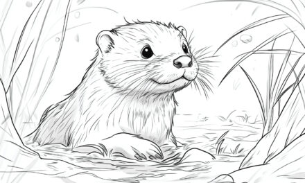 Otter in the water