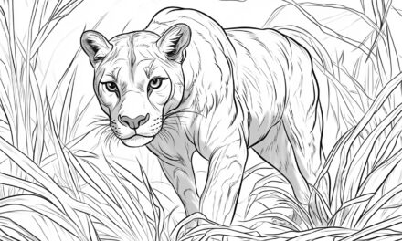 Puma stalks