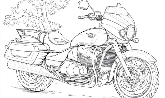 Honda Goldwing 2