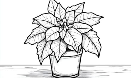 Poinsettia 2