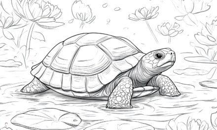 Turtle in Shallow Water