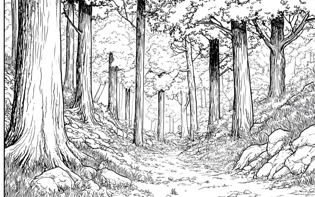 Pfad durch den Wald