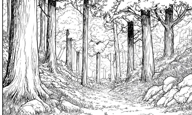 Path Through the Forest