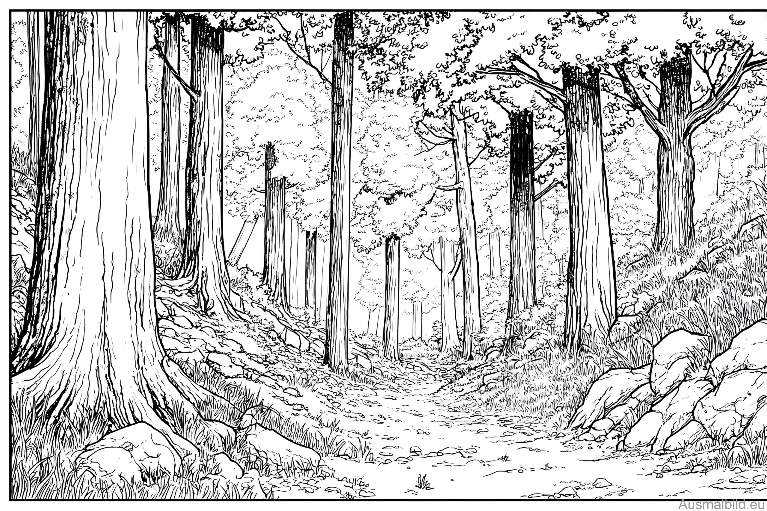 Pfad durch den Wald Pfad durch den Wald
