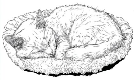 Katze Schläft Im Körbchen