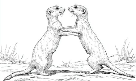 Tanzende Erdmännchen