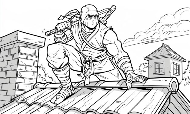 Ninja on a Roof